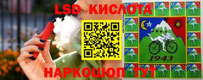 спайс Кингисепп