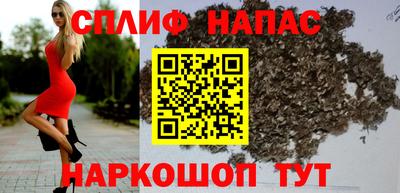 спайс Кингисепп
