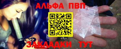 спайс Кингисепп