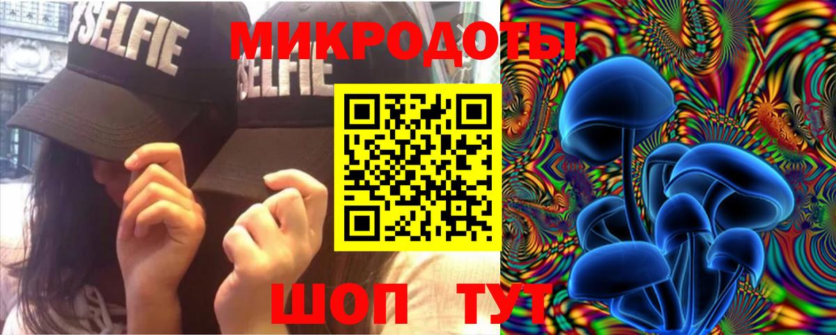 Галлюциногенные грибы Psilocybe Калининград